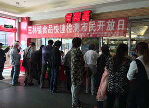 上海社区服务网与上海网络服务公司的协同发展